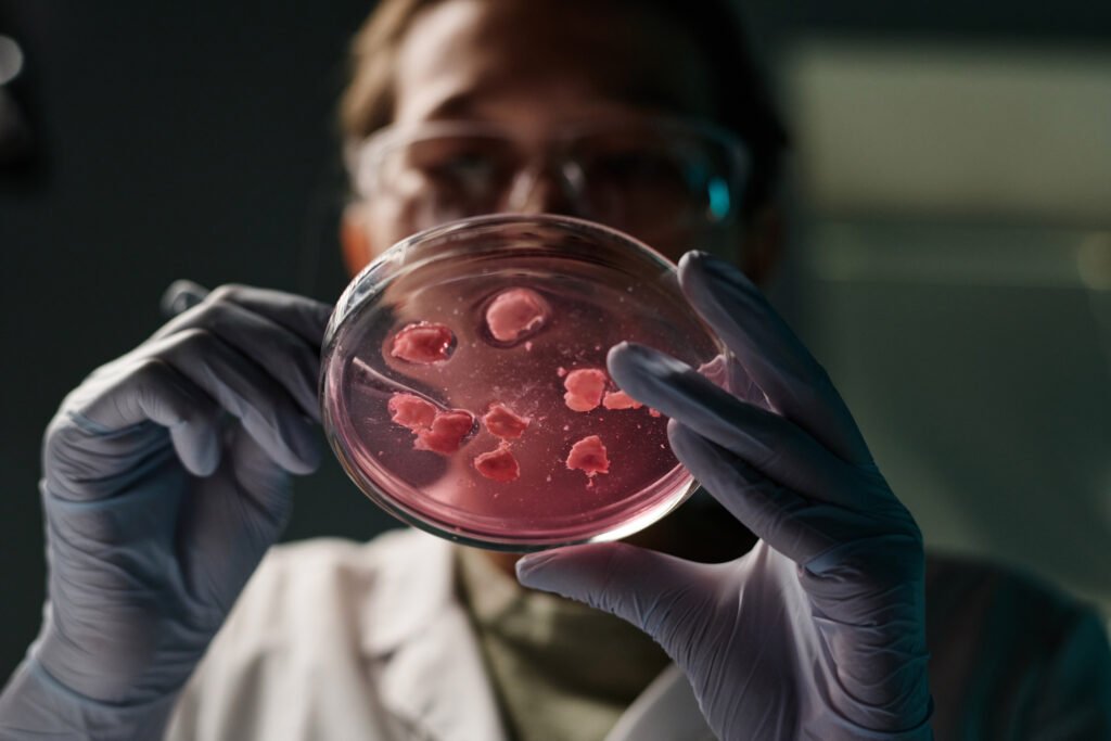 Low angle closeup of petri dish with pieces of bacterial disease in hands of young female scientist examining it.